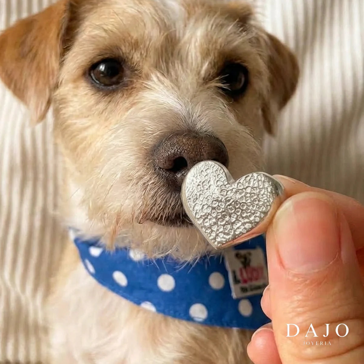 Anillo Corazón Huella - Individual plata .925 - anillo con huella grabada personalizado | DAJO Joyeria