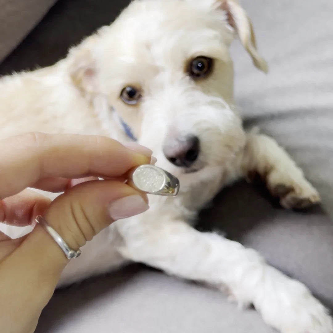 Anillo Huella Redondo de plata .925 frente a un perro: su huella, contigo