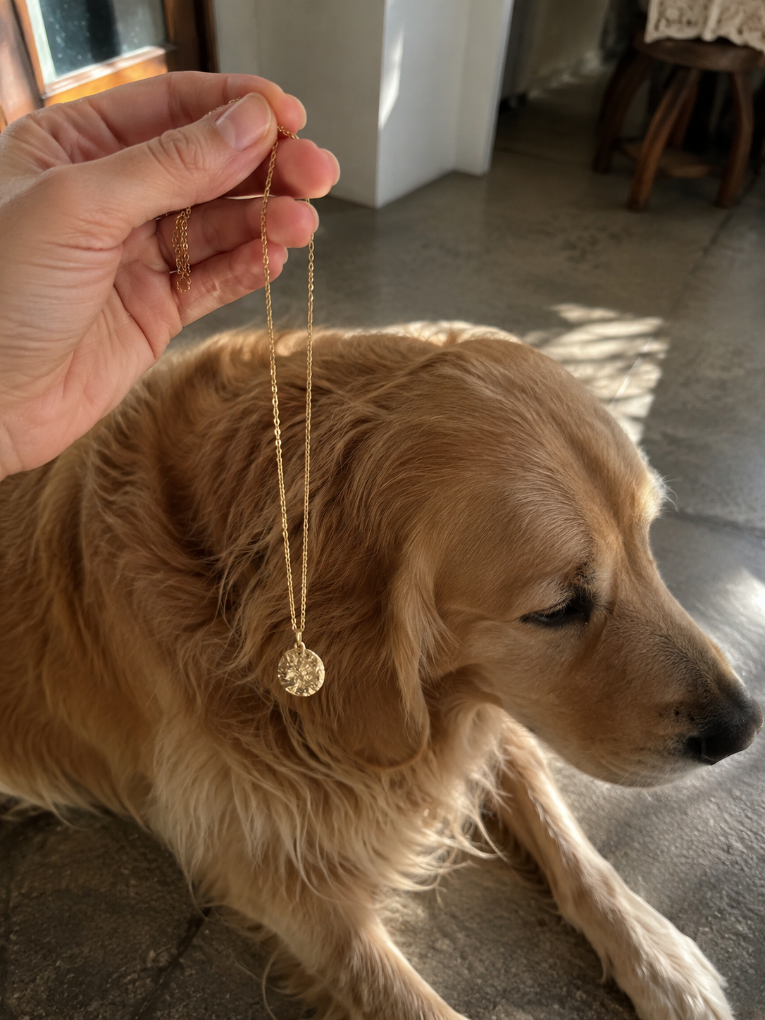 Dije Huella con cadena de oro solido junto a perrito golden - DAJO Joyeria