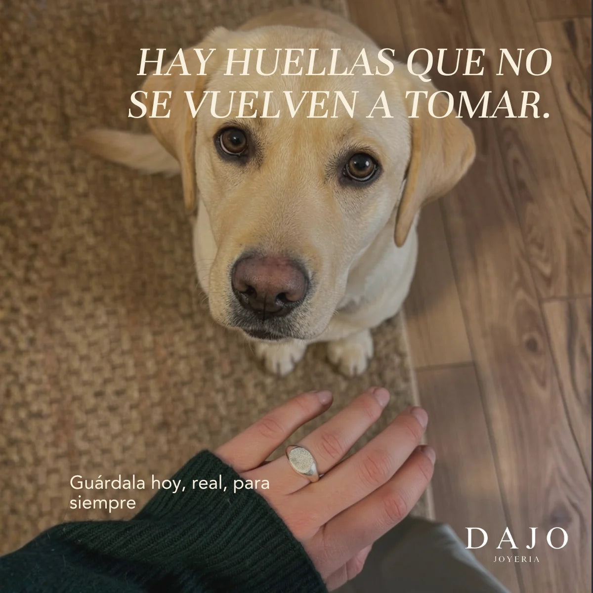 Mujer con anillo de huella de plata junto a su perro: hay huellas que no se vuelven a tomar [v2]