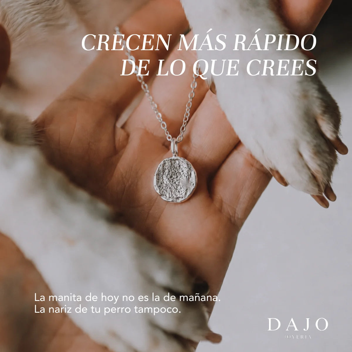 Dije de huella de plata en la mano junto a las patas de un perro: crecen más rápido de lo que crees [v2]