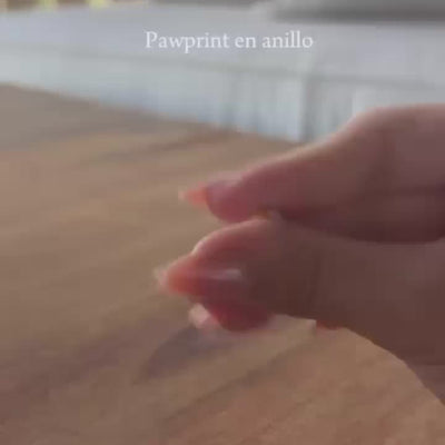 Video del proceso de huella DAJO: del kit en casa a la pieza terminada [v2]