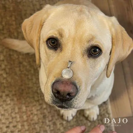Anillo con la huella de un perro