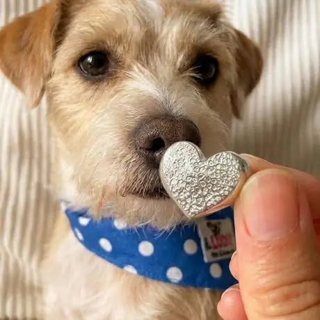 Anillo de corazón con huella