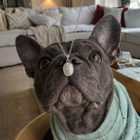 Dije con huella de pug