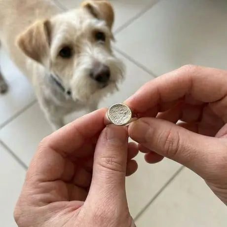 Anillo con la nariz grabada